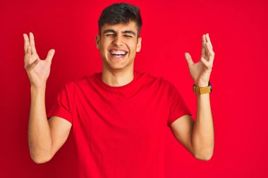 Young indian man wearing t-shirt standing over isolated red background celebrating mad and crazy for success with arms raised and closed eyes screaming excited. Winner concept