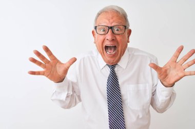 Kravat takan ve gözlük takan kıdemli beyaz iş adamı çılgın ve hayret verici başarısını kutluyor ve kollarını kaldırıp heyecanla haykırıyor. Kazanan konsept