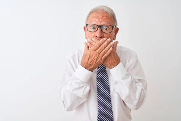 Homme Affaires Sénior Aux Cheveux Gris Portant Cravate Lunettes Sur — Photo