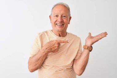 İzole edilmiş beyaz arka planda duran çizgili tişört giyen yaşlı gri saçlı adam kameraya hayret ediyor ve gülümsüyor..