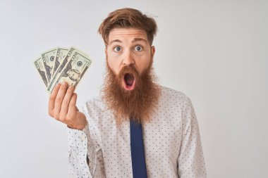 Genç kızıl İrlandalı işadamı izole beyaz arka plan üzerinde duran dolar tutan sürpriz bir yüz ile şok korkmuş, korku ifade korku ve heyecanlı