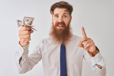 Genç kızıl İrlandalı işadamı izole beyaz arka plan üzerinde duran dolar tutan mutlu yüz, bir numara ile bir fikir veya soru işaret parmağı ile şaşırttı