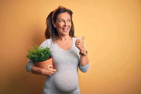 Medelålders Gravid Kvinna Förväntar Baby Håller Växt Kruka Pekar Och — Stockfoto