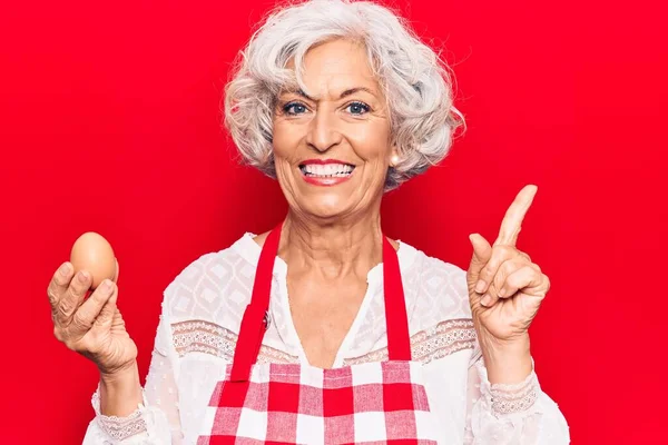 Senior Grauhaarige Frau Mit Schürze Hält Lächelnd Glücklich Zeigt Mit — Stockfoto