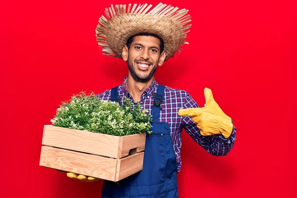 Fiatal Latin Férfi Visel Farmer Kalap Kötény Gazdaság Növény Doboz — Stock Fotó