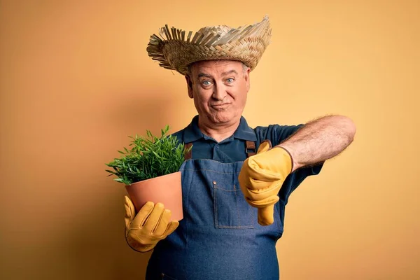 Medelålders Hoary Bonde Man Bär Förkläde Och Hatt Innehav Växt — Stockfoto