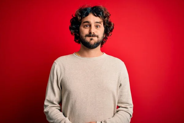 Young Handsome Man Beard Wearing Casual Sweater Standing Red Background — Stock Photo, Image