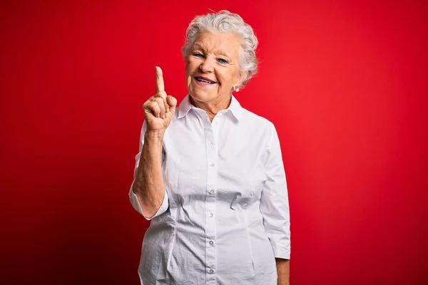 Senior Smuk Kvinde Iført Elegant Skjorte Stående Isoleret Rød Baggrund - Stock-foto