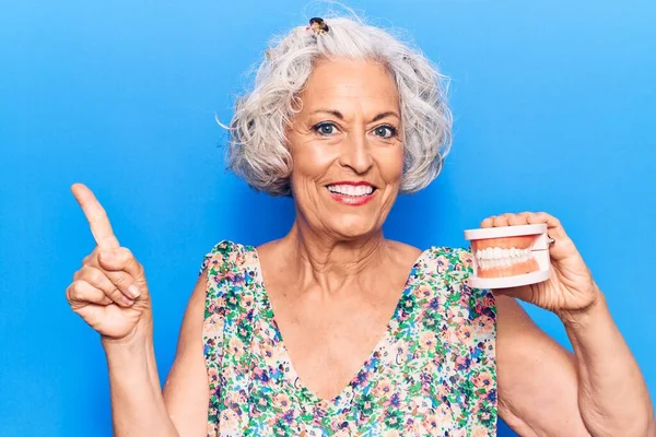 Femme Âgée Aux Cheveux Gris Tenant Une Prothèse Dentaire Souriant — Photo