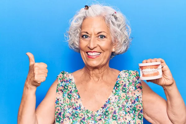 Femme Âgée Aux Cheveux Gris Tenant Une Prothèse Dentaire Souriante — Photo