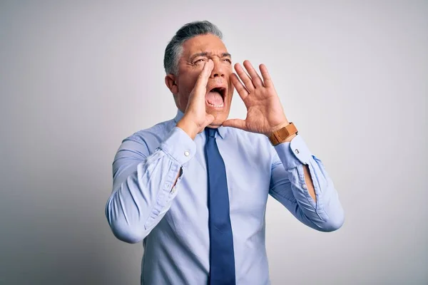 Middle Age Handsome Grey Haired Business Man Wearing Elegant Shirt — Stock Photo, Image