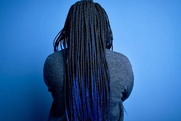 Africain Américain Taille Femme Avec Des Tresses Portant Pull Décontracté — Photo