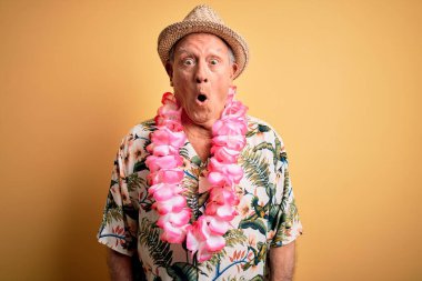 Sarı arka planda beyaz saçlı, son sınıf öğrencisi, sarı şapkalı ve Hawaii zambağı takmış. Şaşırmış ve korkmuş bir ifade, korku ve heyecanlı bir yüz ifadesi var..