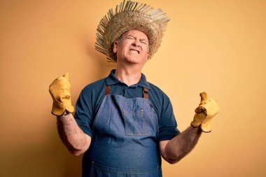 Sarı arka planda önlük ve şapka takan orta yaşlı çiftçi mutlu ve heyecanlı bir şekilde kollarını kaldırıp, gülümseyip başarı için bağırıyor. Kutlama konsepti.