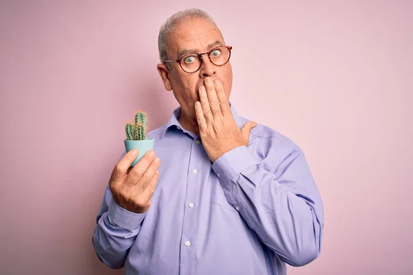 Hombre Guapo Hoary Edad Media Sosteniendo Pequeña Maceta Cactus Sobre — Foto de Stock