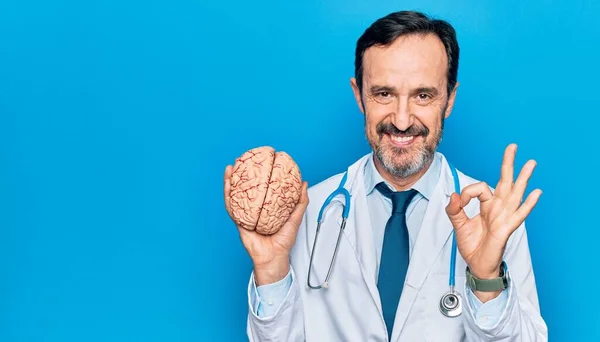Médico Meia Idade Bonito Homem Vestindo Casaco Estetoscópio Segurando Cérebro — Fotografia de Stock