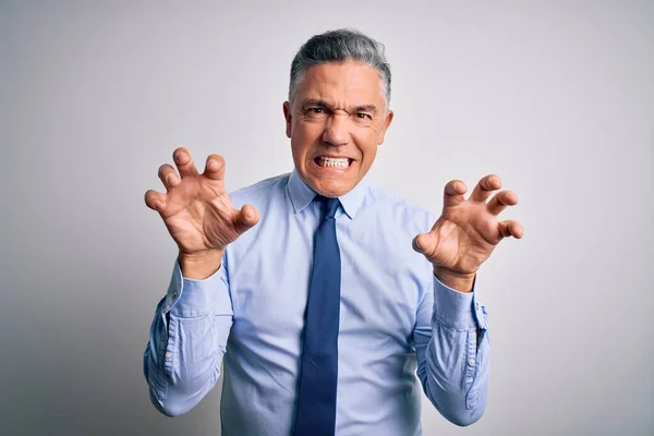 Hombre Negocios Guapo Pelo Gris Mediana Edad Con Camisa Elegante —  Fotos de Stock