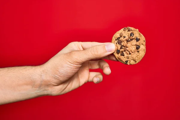 Schöne Hand Des Mannes Hält Süßen Schokoladenkeks Über Isolierten Roten — Stockfoto