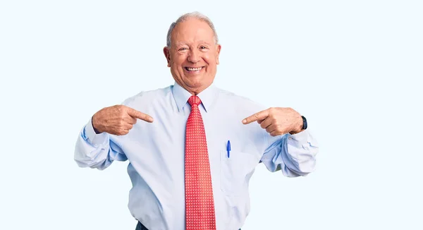 Senior Handsome Grey Haired Man Wearing Elegant Tie Shirt Looking — Stock Photo, Image