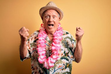 Sarı arka plan üzerinde yaz şapkası takan gri saçlı ve Hawaii zambağı takan yaşlı adam kollarını kaldırarak ve açık gözlerle başarının şaşkınlığını ve şaşkınlığını kutluyor. Kazanan konsept.