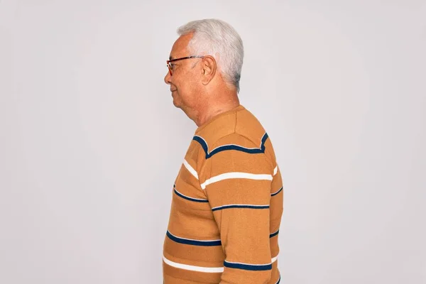 Hombre Guapo Pelo Gris Mediana Edad Con Gafas Suéter Rayas —  Fotos de Stock