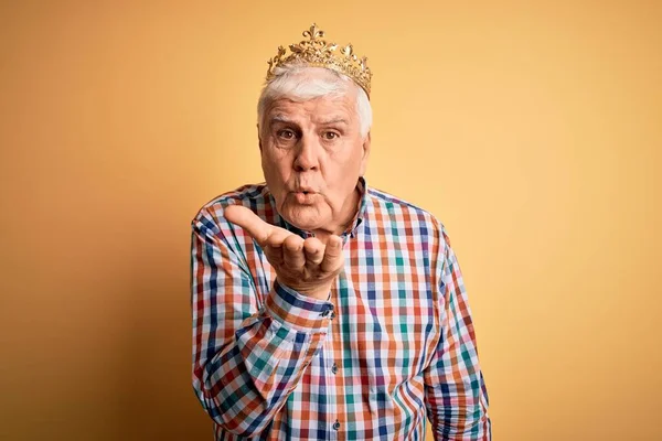 Senior Stilig Hoary Man Bär Gyllene Krona Kung Över Isolerad — Stockfoto