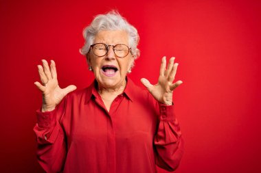 Son sınıf güzeli gri saçlı kadın kırmızı arka planda günlük gömlek ve gözlük takıyor ve başarıya deli ve deli gibi seviniyor. Kolları havada ve gözleri kapalı bağırıyor. Heyecanlı. Kazanan konsept