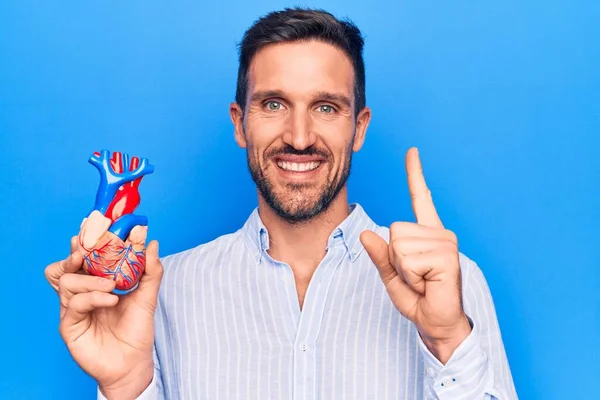 Young Handsome Man Holding Heart Organ Veins Arteries Blule Background — Stock Photo, Image