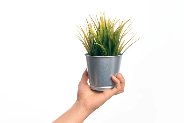 Hand Caucasian Young Man Holding Small Plant Pot Isolated White — Stock Photo, Image