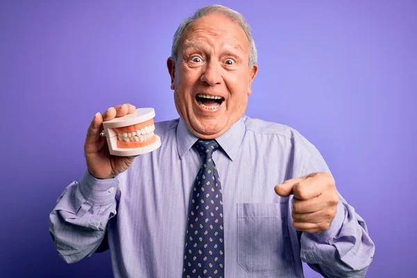 Šedovlasý Starší Muž Drží Ortodontické Protézy Chrup Přes Fialové Pozadí — Stock fotografie
