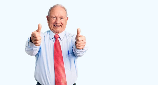 Senior Handsome Grey Haired Man Wearing Elegant Tie Shirt Approving — Stock Photo, Image