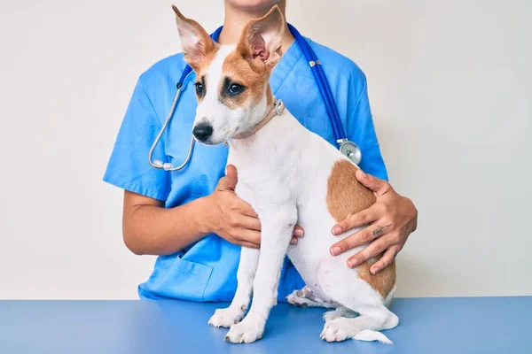 Młody Szczeniak Weterynarza Idzie Kontrolę Zdrowia Profesjonalny Pies Egzaminacyjny Pomocą — Zdjęcie stockowe