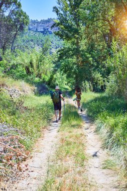 Sırt çantalı güzel bir çift ormanda yürüyüş çubuğu kullanarak yürüyüş yapıyor.