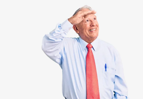 Homem Cabelos Grisalhos Bonito Sênior Vestindo Gravata Elegante Camisa Muito — Fotografia de Stock