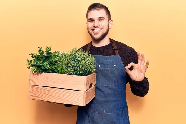 Young Handsome Man Wearing Gardener Apron Holding Pant Pot Doing — Stock Photo, Image