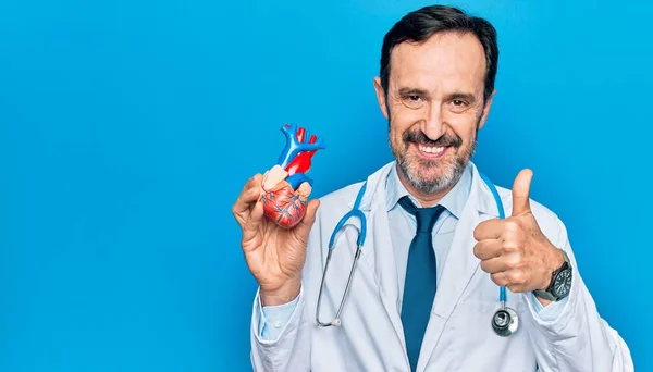 Middelbare Leeftijd Knappe Cardioloog Man Dragen Jas Stethoscoop Met Plastic — Stockfoto