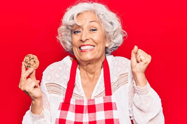 头发灰白 头戴围裙 手持饼干的老妇人自豪地尖叫着 高举双臂庆祝胜利和成功 — 图库照片