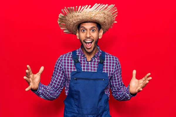 Joven Latino Con Sombrero Granjero Delantal Celebrando Loco Sorprendido Por —  Fotos de Stock