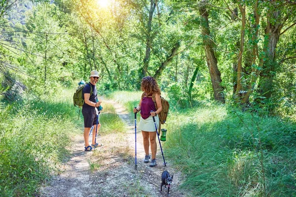 美丽的一对徒步旅行者背着背包开心地笑着 在森林里用手杖徒步旅行时 面带微笑地站在那里 — 图库照片