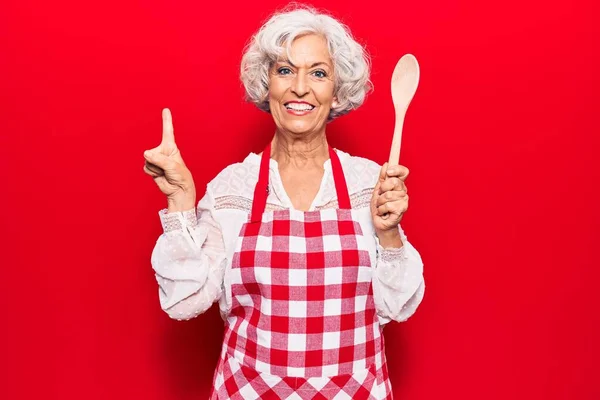 Önlük Takan Yaşlı Gri Saçlı Bir Kadın Bir Fikir Veya — Stok fotoğraf