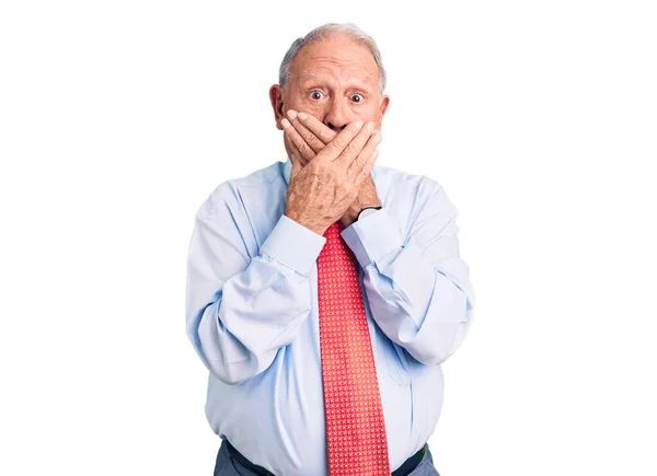 Senior Handsome Grey Haired Man Wearing Elegant Tie Shirt Shocked — Stock Photo, Image