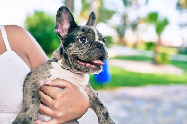 Vrouwelijke Eigenaar Met Mooie Puppy Gespot Franse Bulldog Gelukkig Het — Stockfoto