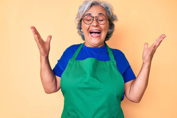 Donna Ispanica Anziana Indossando Grembiule Occhiali Che Celebrano Pazzo Pazzo — Foto Stock