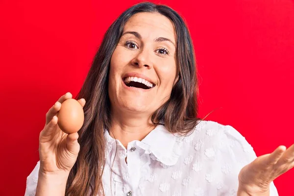 Güzel esmer iş kadını elinde bir deste parayla kırmızı arka planda başarıyı mutlu bir gülümsemeyle kutluyor ve kazanan el kaldırarak ifade ediyor.