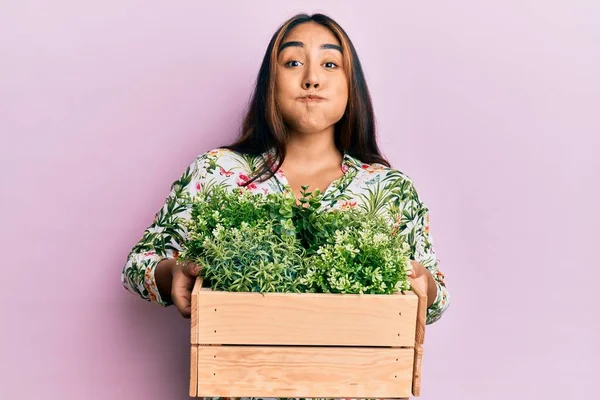Mulher Latina Jovem Segurando Bochechas Sopro Panela Planta Madeira Com — Fotografia de Stock