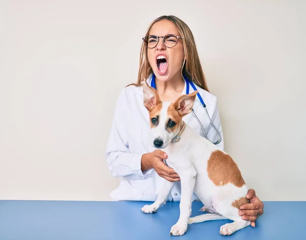 若い美しいブロンドの獣医師の女性は 犬の健康をチェック怒りと怒りを叫び 怒りで叫んで怒っている 怒りと攻撃的な考え方 — ストック写真