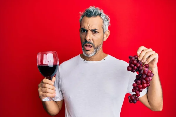 Uomo Mezza Età Dai Capelli Grigi Che Tiene Ramo Uva — Foto Stock