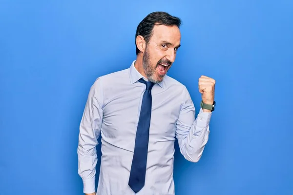 Hombre Negocios Guapo Mediana Edad Con Elegante Corbata Pie Sobre —  Fotos de Stock