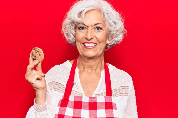 Senior Mulher Cabelos Grisalhos Vestindo Avental Segurando Biscoito Olhando Positivo — Fotografia de Stock