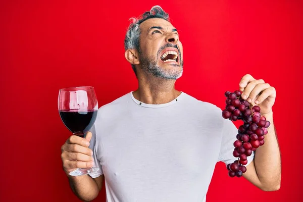 Middelbare Leeftijd Grijsharige Man Met Tak Van Verse Druiven Rode — Stockfoto